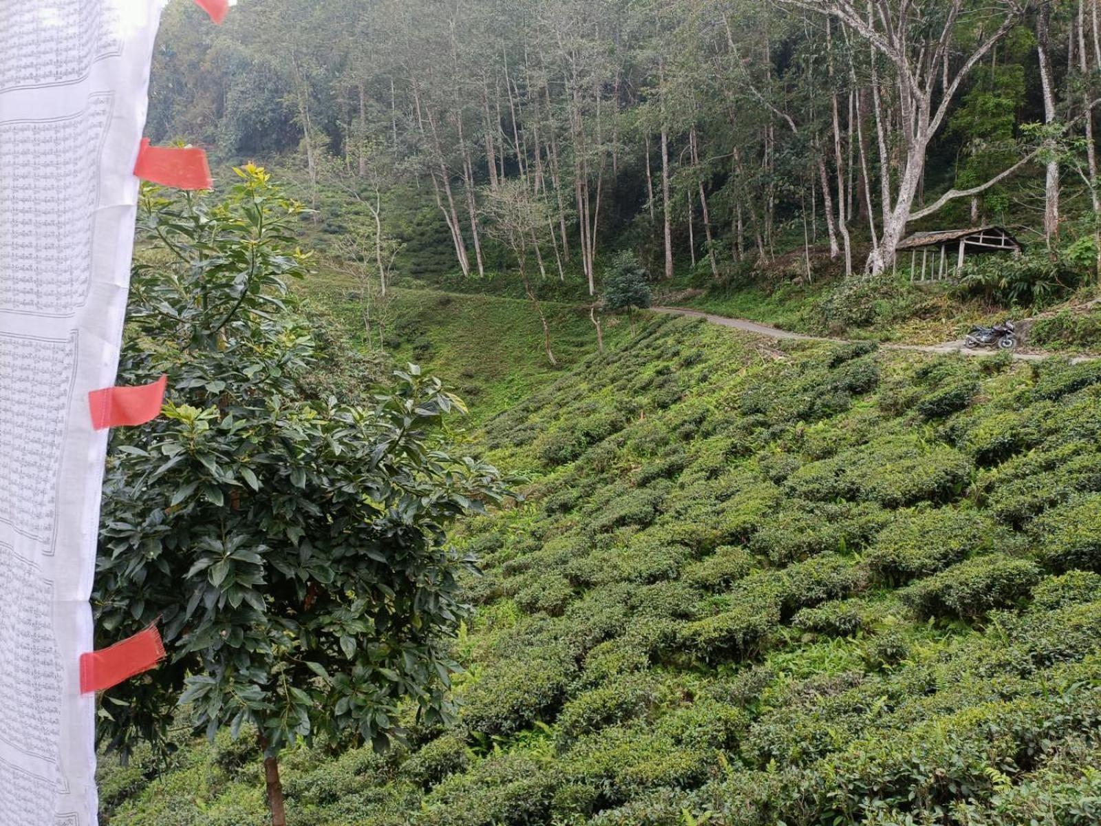 Dsd Bomzon Homestay Darjeeling  Exterior photo