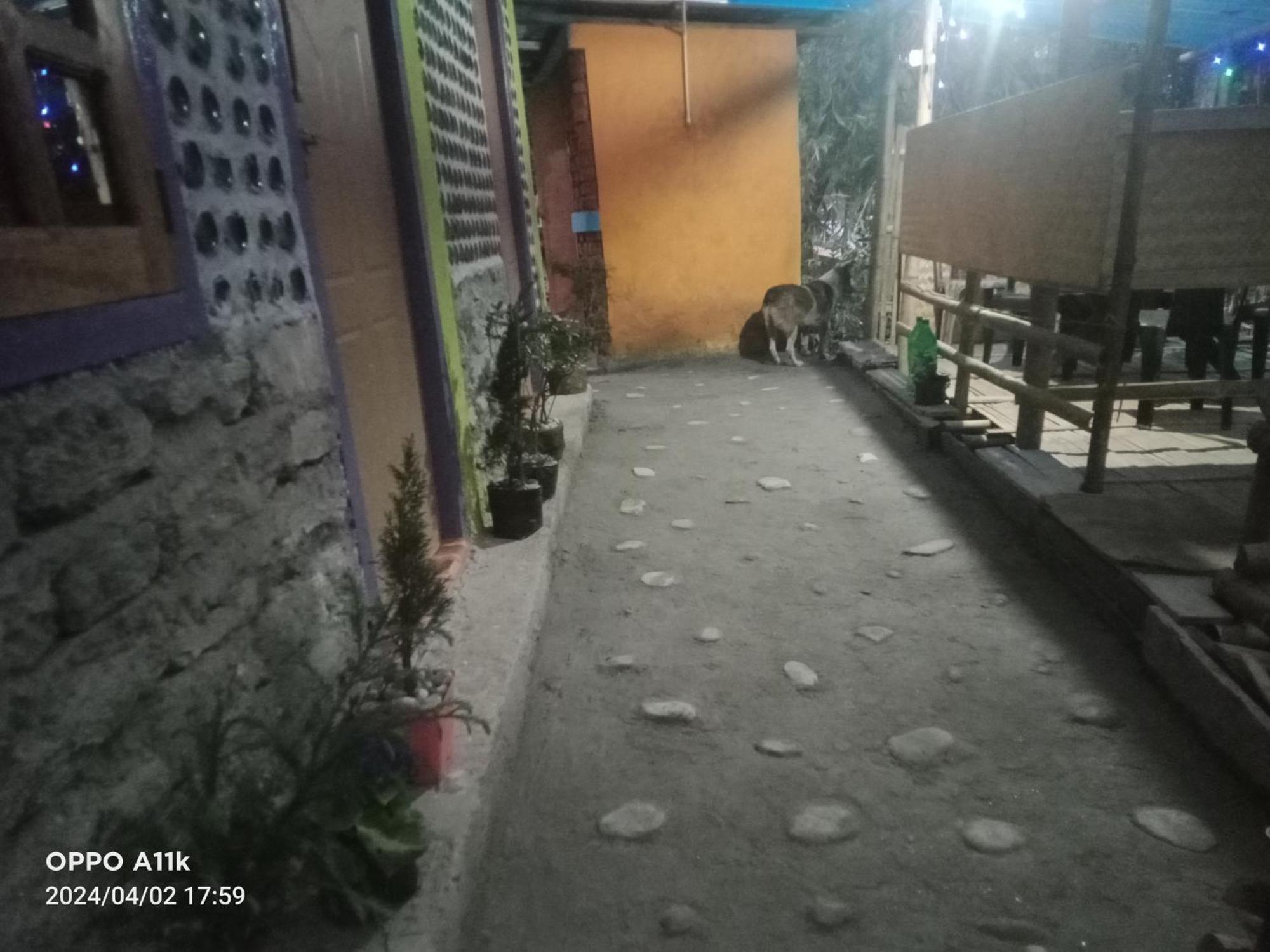 Dsd Bomzon Homestay Darjeeling  Exterior photo
