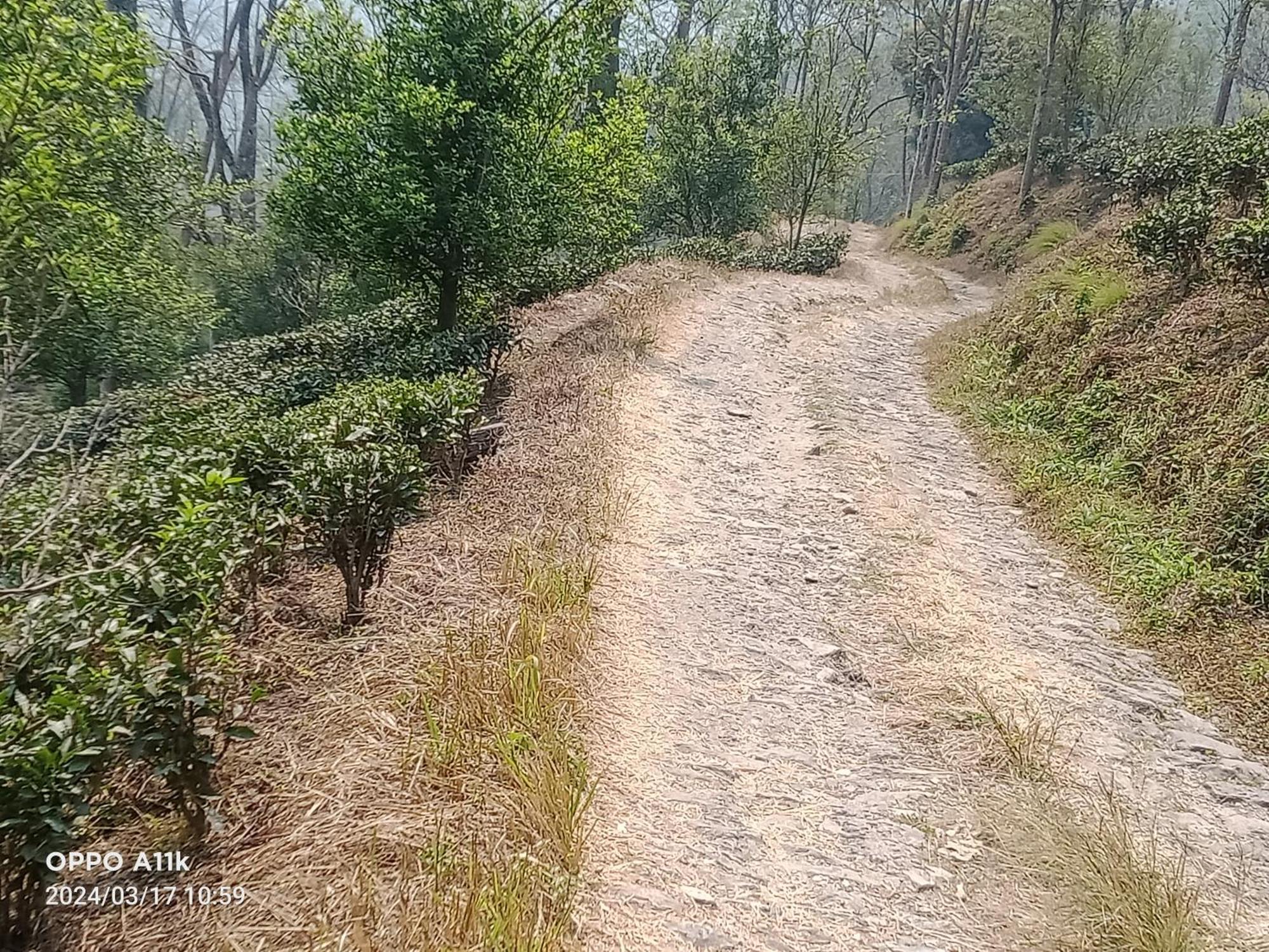 Dsd Bomzon Homestay Darjeeling  Exterior photo